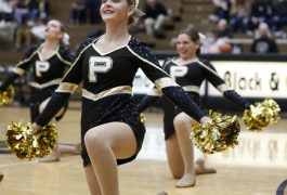 Penn Poms