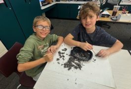 Prairie Vista Elementary Life Science Fourth Grade Owl Pellets