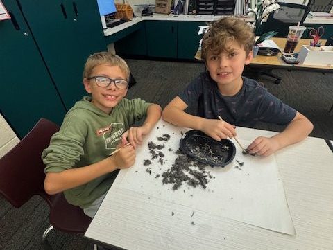 Prairie Vista Elementary Life Science Fourth Grade Owl Pellets
